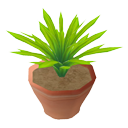 Little plant