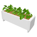 Plant box