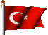Turkish turkey